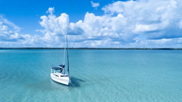 Private Boat Tour - Image 4