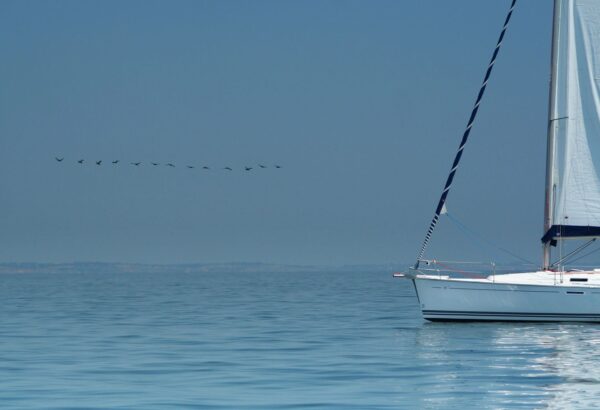 Sailing Lessons